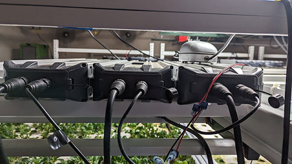 Picture of L534692