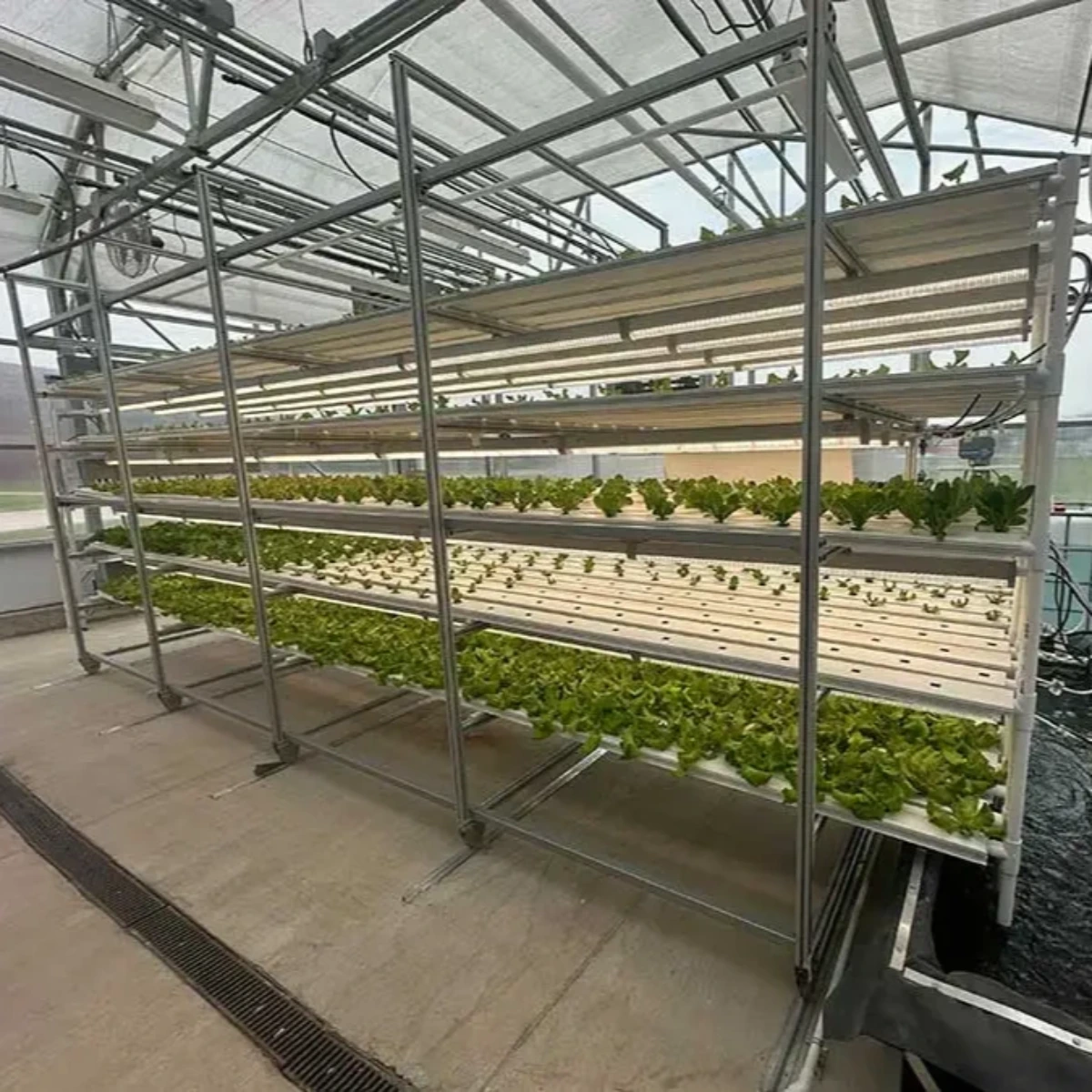 Featured image for “Hartfiel Automation 6 Level NFT Framing Kits”