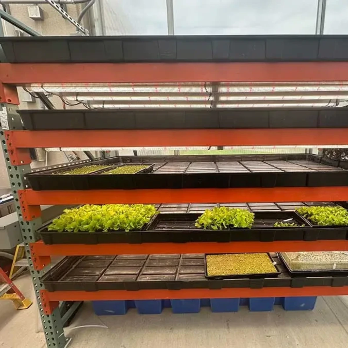 Featured image for “Farmtek / Uline Kits for 5-Level Nursery Systems”
