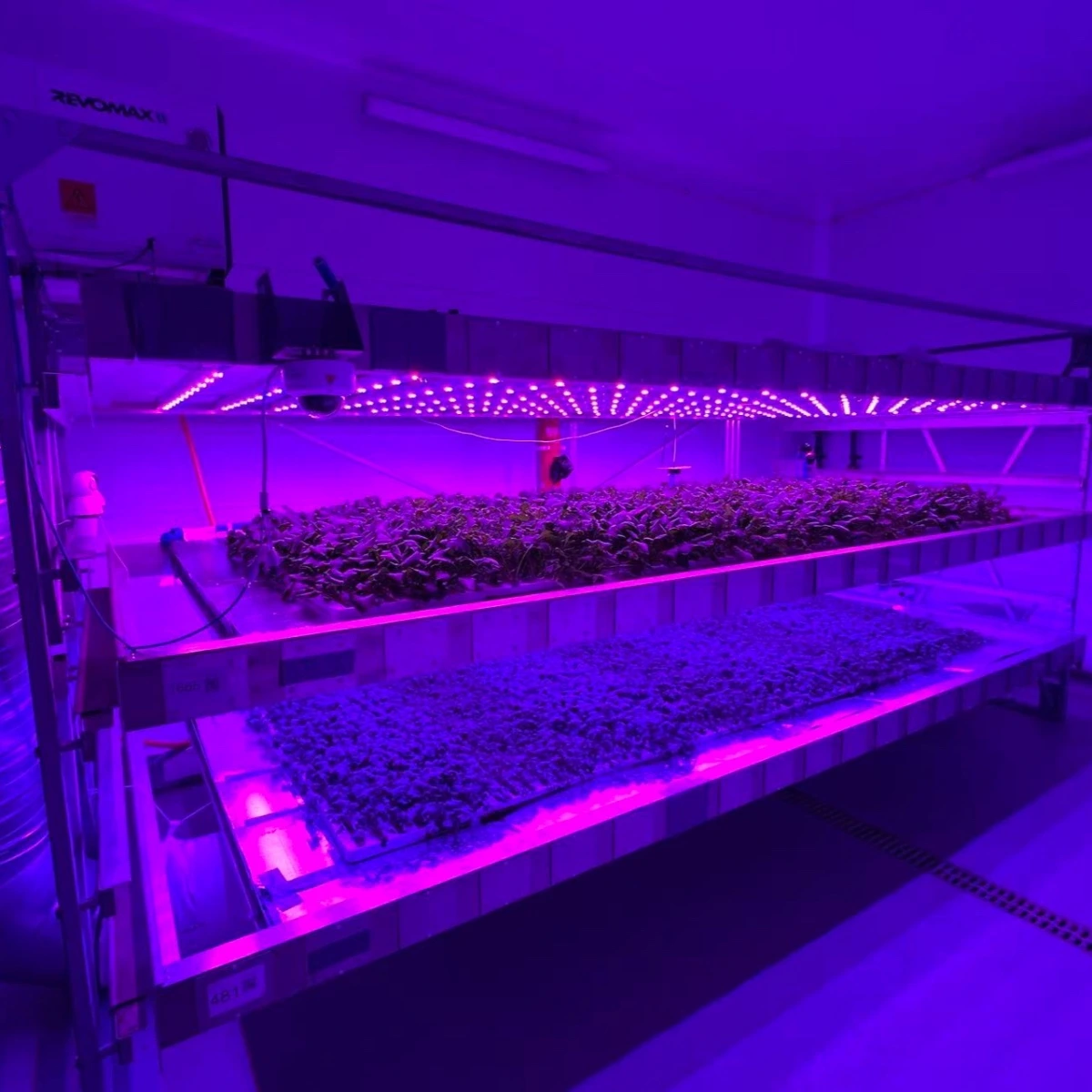 Featured image for “Fully operational vertical farm R&D system, including irrigation tanks & dosing, HVAC system, built in- & handheld sensors, and lab equipment”