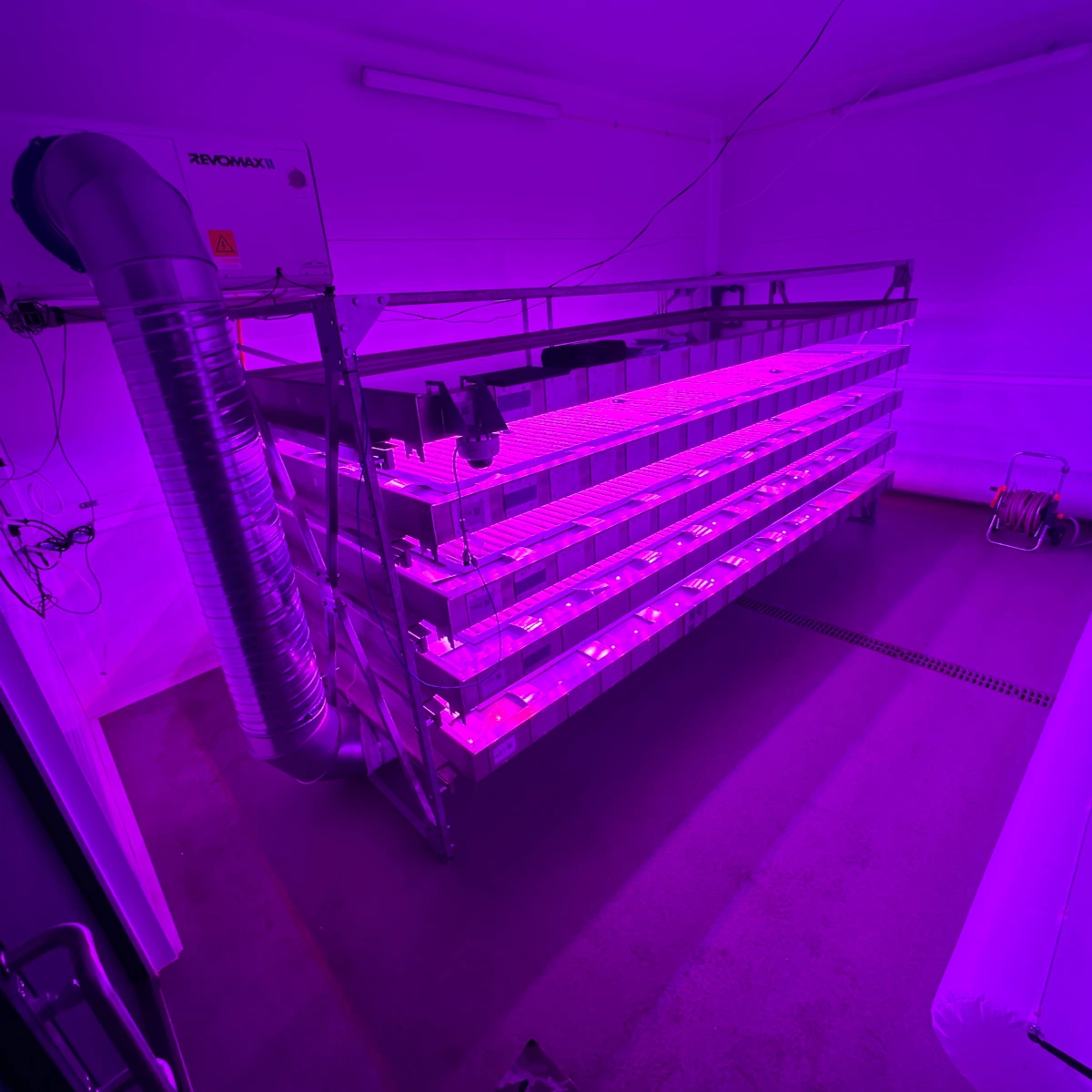 IGS Vertical Farm R&D