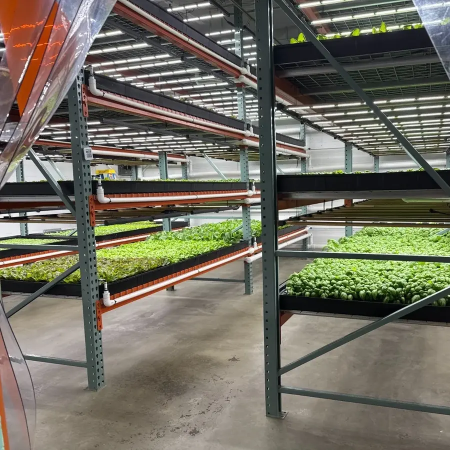 Featured Image for “Full Grower’s Choice CPS-375 Lighting System w/ Controller (155x Lights)”